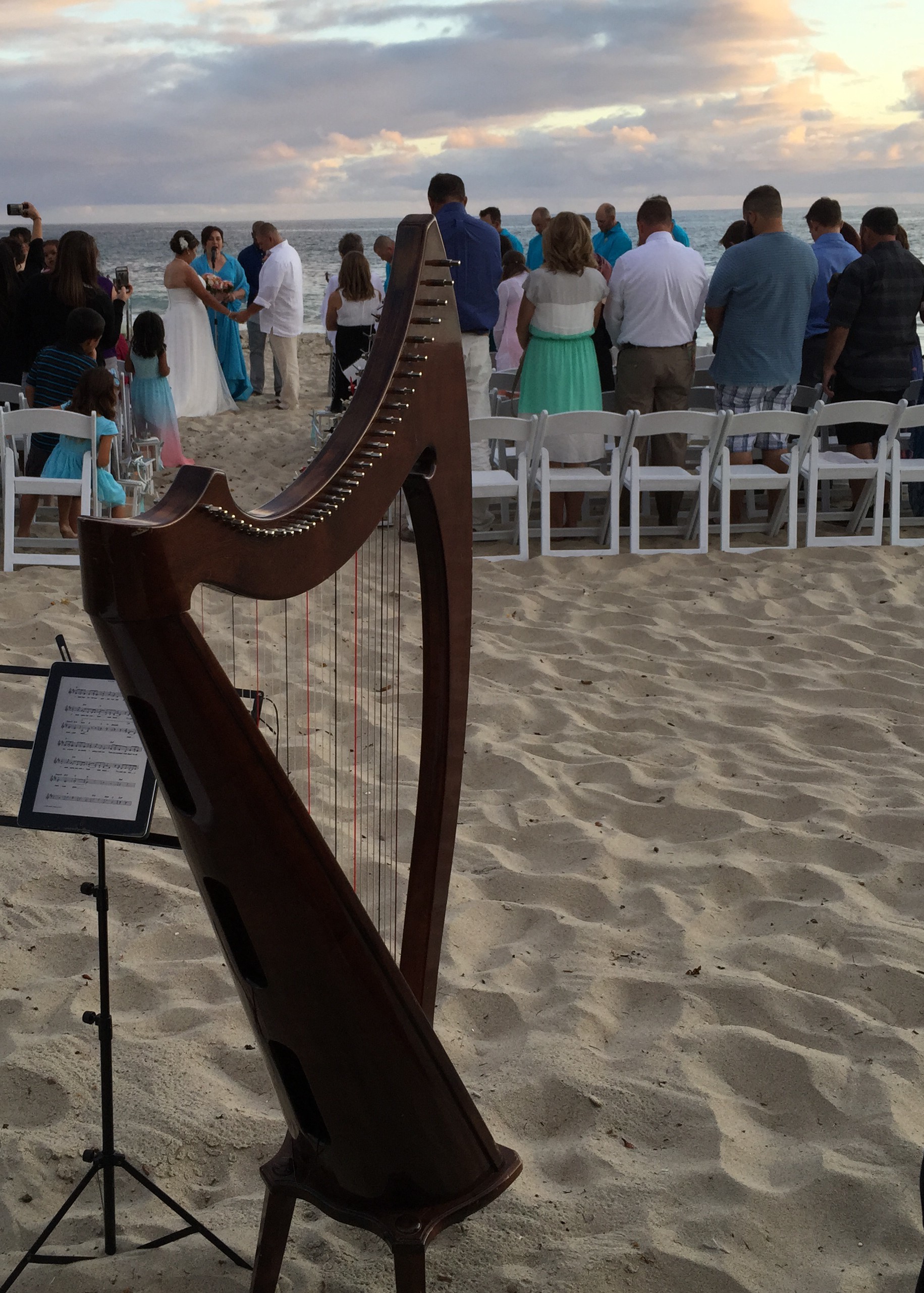 Beach Harp 2015-10-04