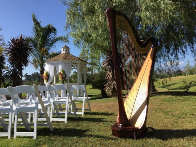 Harp Camarillo 2015-05-03 16.50.37