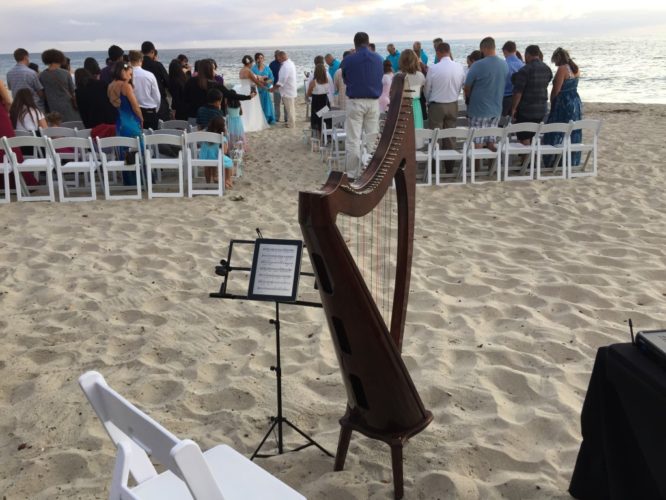 Harpist Laguna 2015-10-04 18.13.05